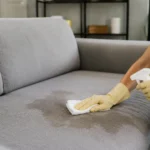 How to Get Pee Smell Out of the Couch: Fresh, Dried & Deep Odor Fixes